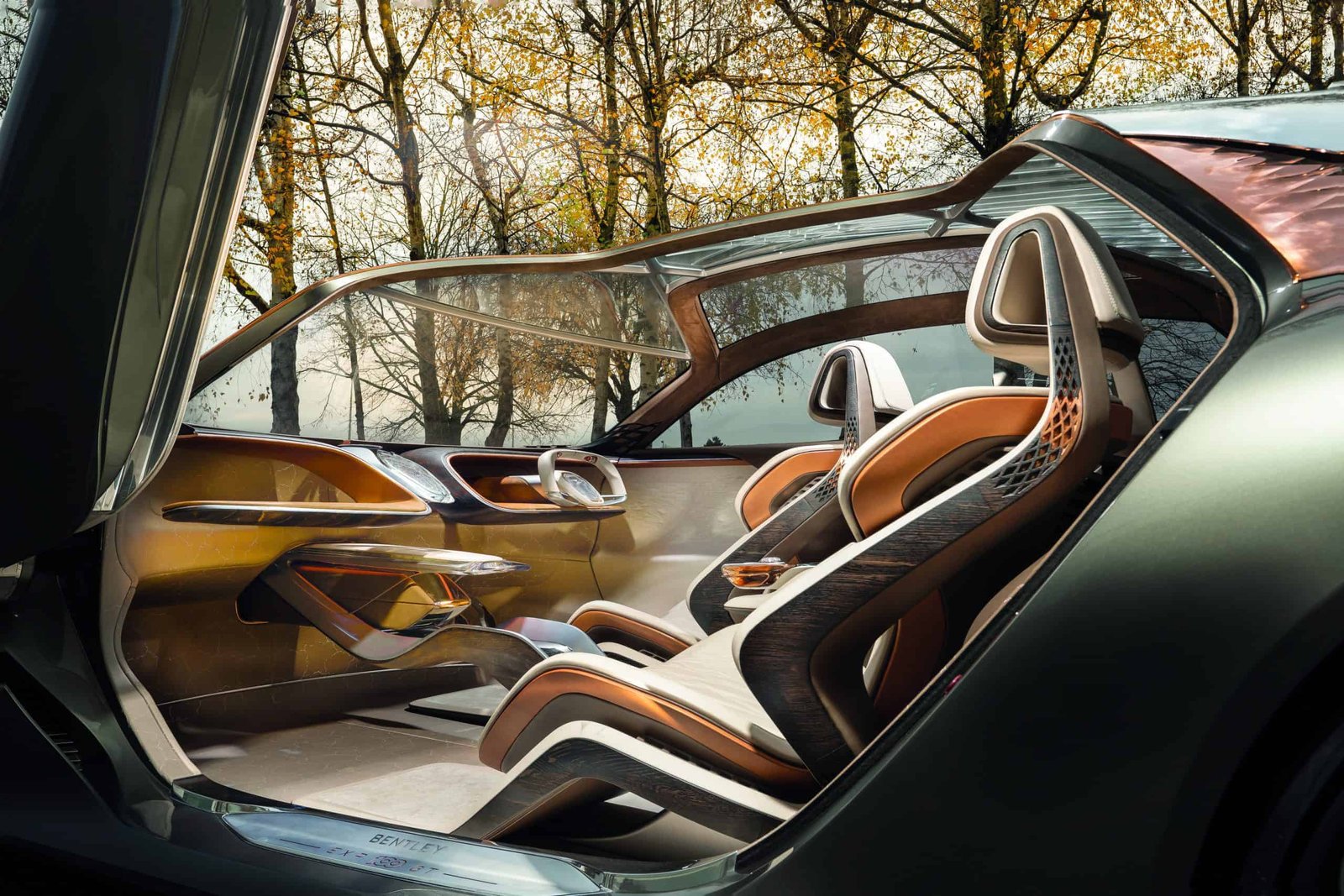 The interior of a futuristic car in the woods, a true experiment in automotive invention.