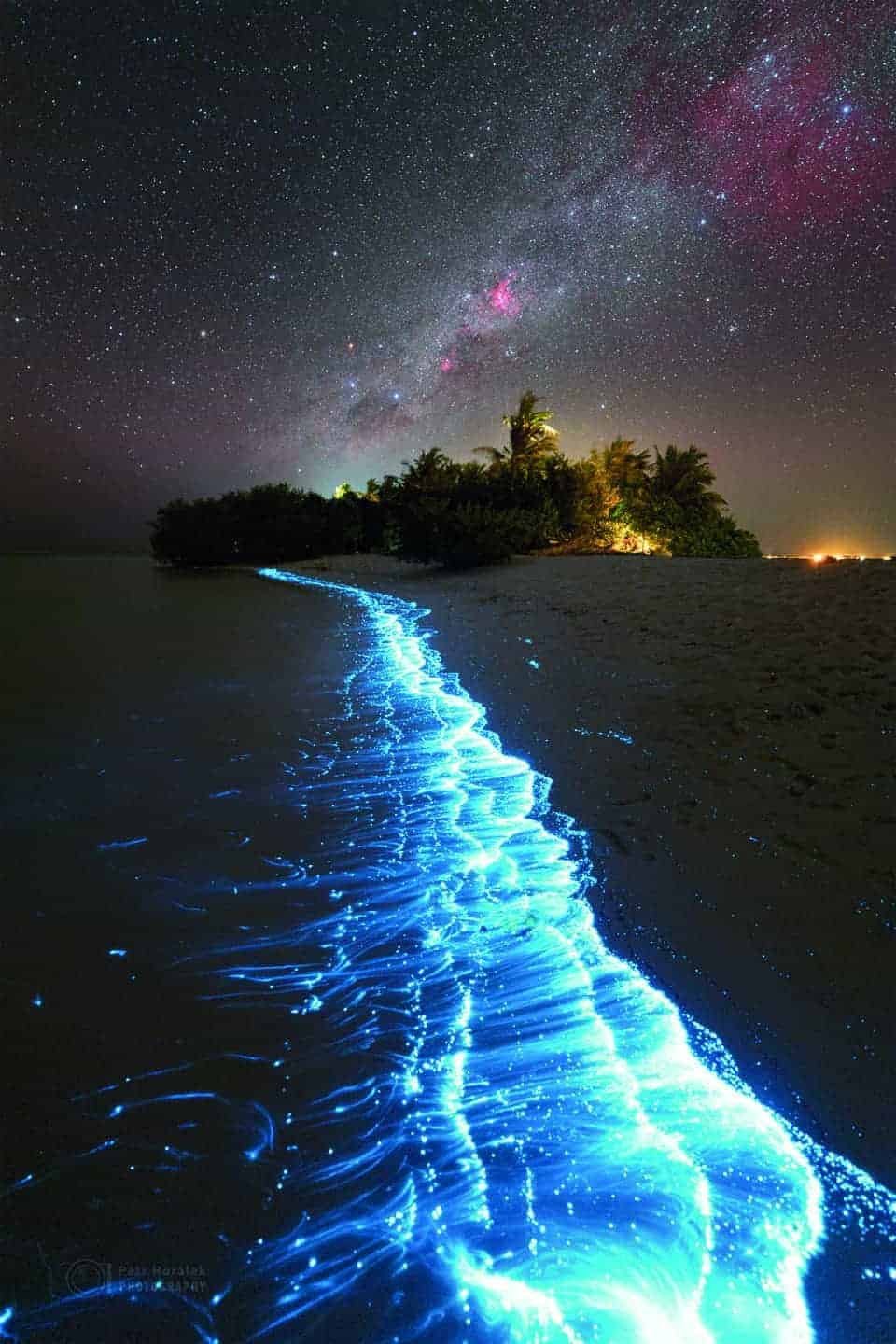 A mind-enriching blue glow on the beach at night.