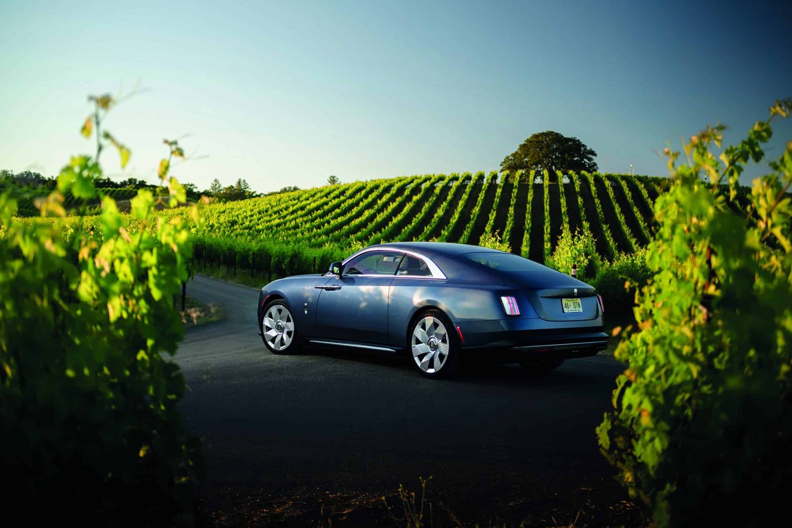 The Spectre of a Rolls Royce Wraith is driving down a road in a vineyard.